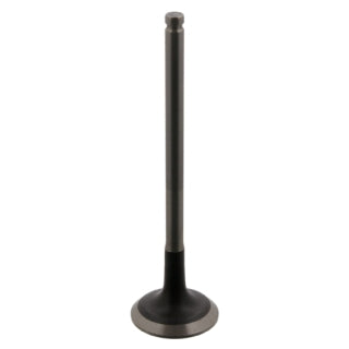 Exhaust Valve-66