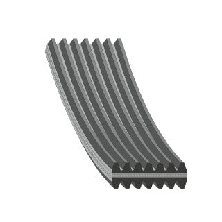 Auxiliary Belt-323