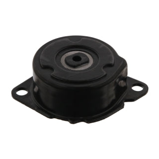Tensioner Assembly-250
