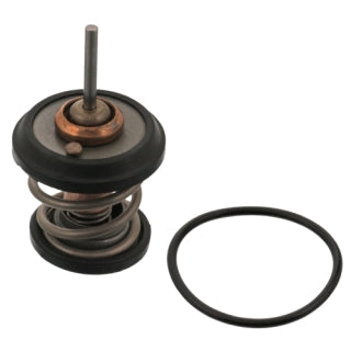 Thermostat-135