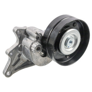 Tensioner Assembly Engine-38