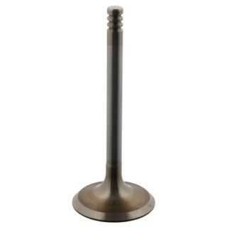 Inlet Valve Engine-5