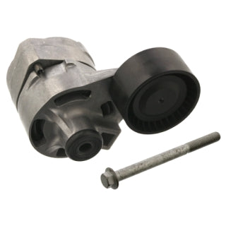 Tensioner Assembly Engine-41