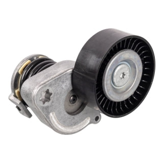Tensioner Assembly Engine-48