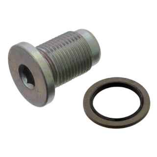 Oil Drain Plug Engine-3