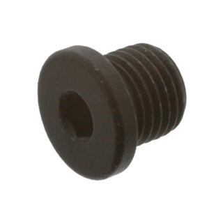 Oil Drain Plug Engine-7