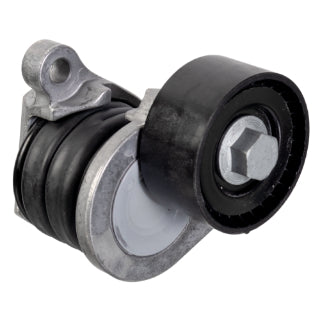 Tensioner Assembly Engine-76