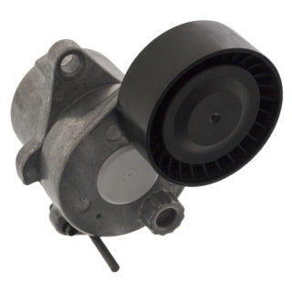 Tensioner Assembly Engine-96