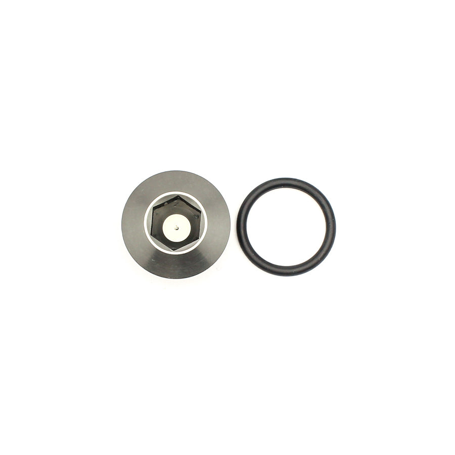 DeatschWerks - DW 10AN ORB Plug Low Profile with Hex-1