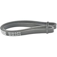 Febest Poly-v belt 4 ribs - Part 88126-4L813