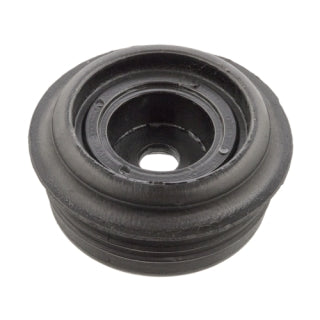 Strut Mounting-13