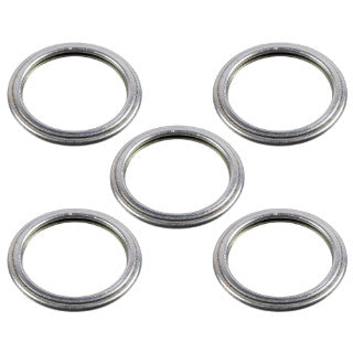 Sealing Ring-12