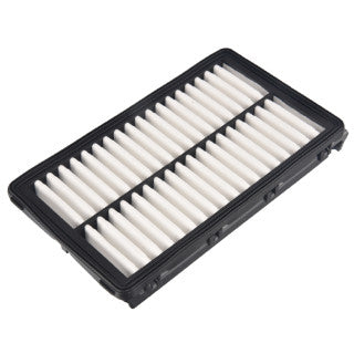 Blue Print Air Filter – FEBI-ADBP220102
