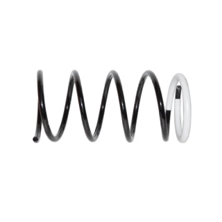 Coil Spring-49