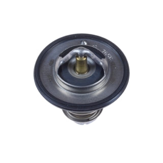 Thermostat-44