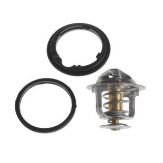 Thermostat-55