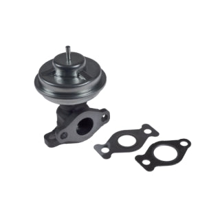 EGR Valve Electric-1