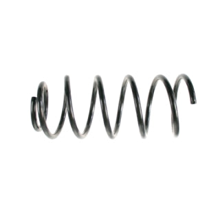Coil Spring-79