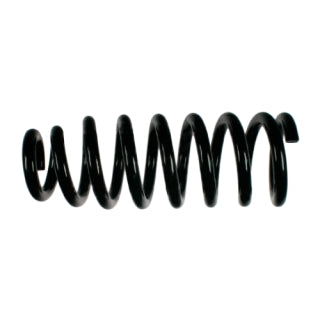 Coil Spring-100