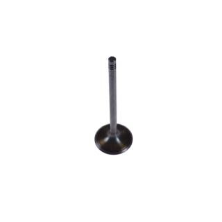 Inlet Valve-1