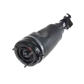 Air Spring Strut-2