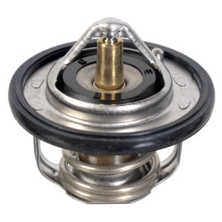 Thermostat-113