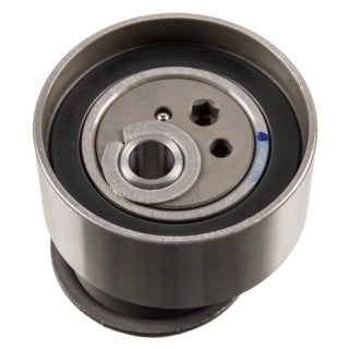 Tensioner Pulley-123