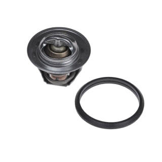 Blue Print Thermostat – FEBI-ADM59215