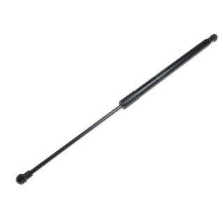 Gas Spring-16