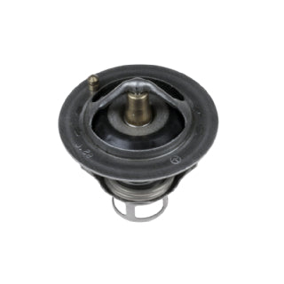 Thermostat-139