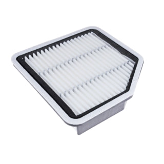 Air Filter-1011