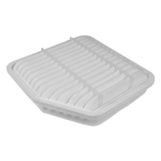 Air Filter-1019