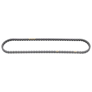 Timing Chain-100
