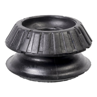 Strut Mounting-100
