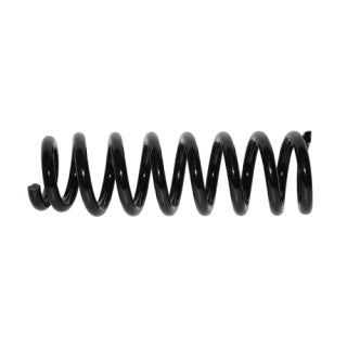 Coil Spring-300