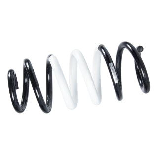 Coil Spring-311