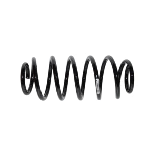 Coil Spring-316