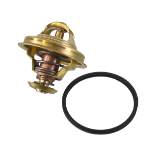 Thermostat-161