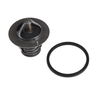 Thermostat-165