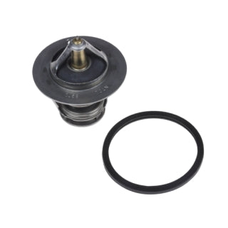 Thermostat-166