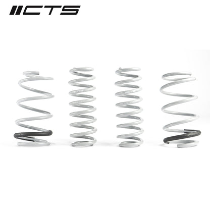 CTS Turbo MK8 Golf GTI Lowering Spring Set - CTS-LS-009