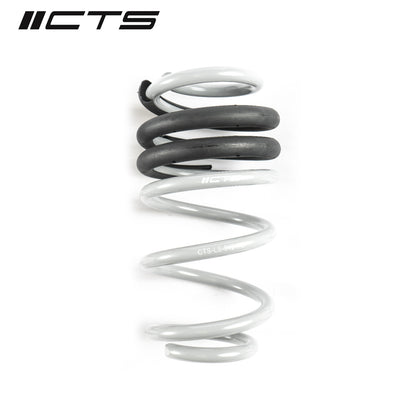 CTS Turbo B8/B8.5 Audi A4/S4 Lowering Spring Set - CTS-LS-012 - image 2