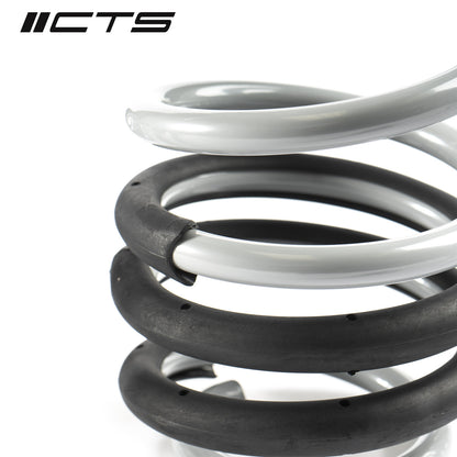 CTS Turbo B8/B8.5 Audi A4/S4 Lowering Spring Set - CTS-LS-012 - image 4