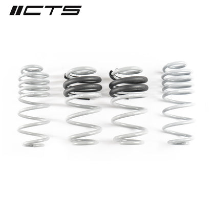 CTS Turbo B8/B8.5 Audi A4/S4 Lowering Spring Set - CTS-LS-012