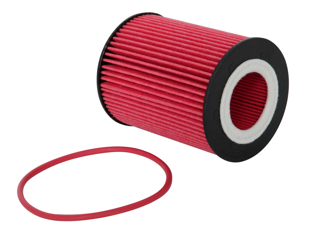 K&N Oil Filter-42