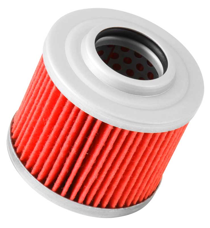 K&N Oil Filter-113