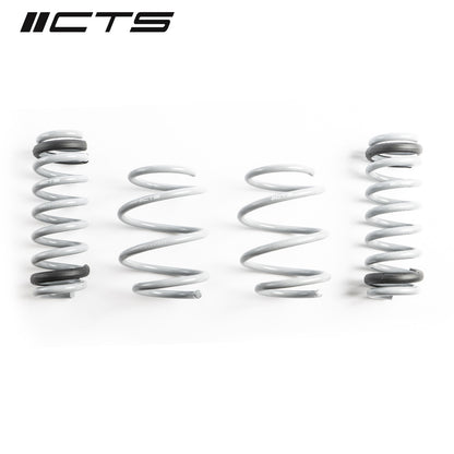 CTS Turbo G82 M4/M4 Competition Lowering Springs - CTS-LS-015 - image 5
