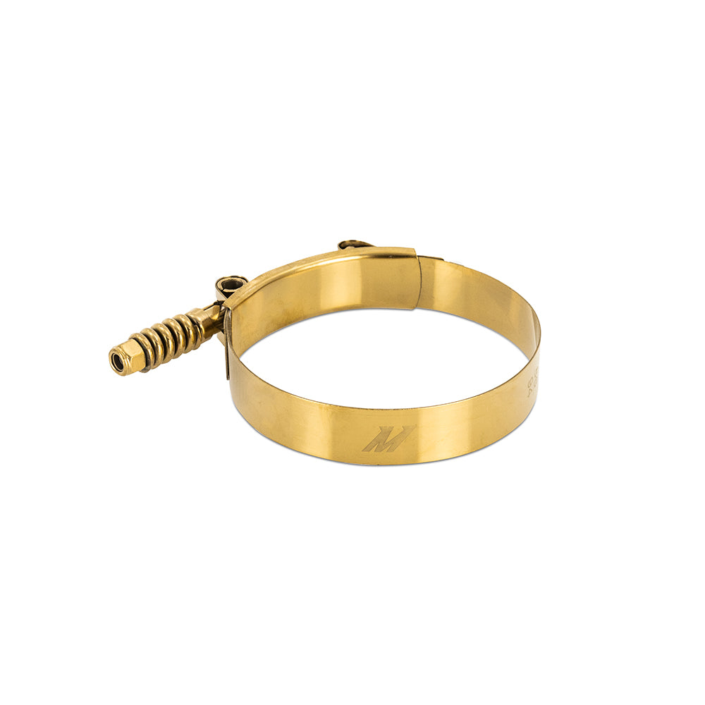 Stainless Steel Constant-Tension T-Bolt Clamp _2