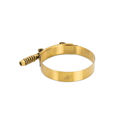 Stainless Steel Constant-Tension T-Bolt Clamp _2