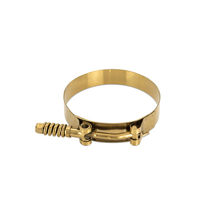 Stainless Steel Constant-Tension T-Bolt Clamp _1